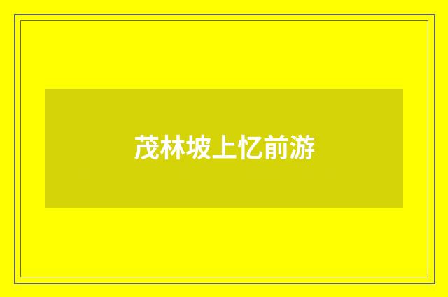 茂林坡上忆前游