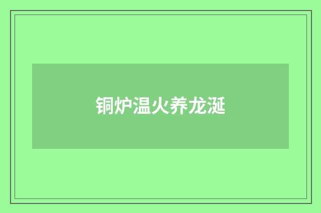 铜炉温火养龙涎