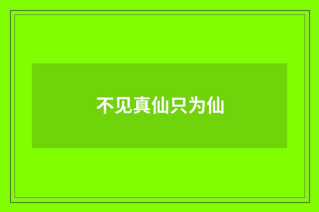 不见真仙只为仙