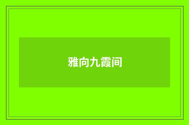 雅向九霞间