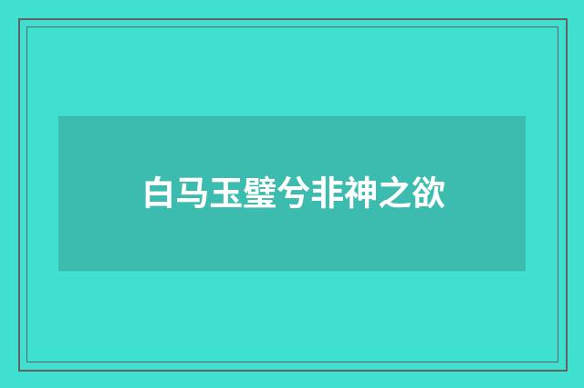 白马玉璧兮非神之欲