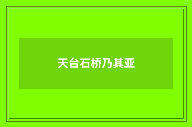 天台石桥乃其亚