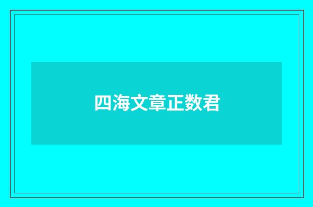 四海文章正数君