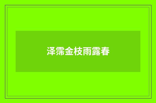泽霈金枝雨露春