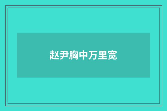 赵尹胸中万里宽