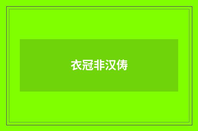 衣冠非汉俦