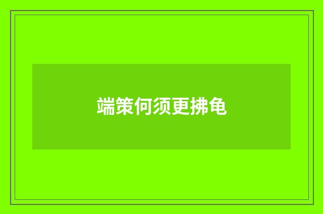 端策何须更拂龟