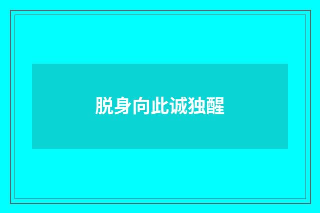 脱身向此诚独醒