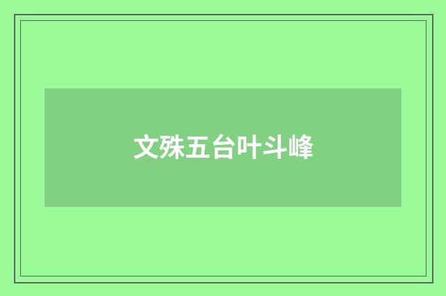 文殊五台叶斗峰