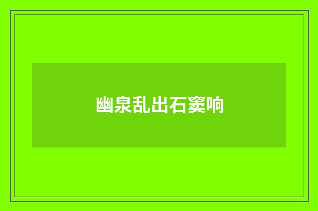 幽泉乱出石窦响