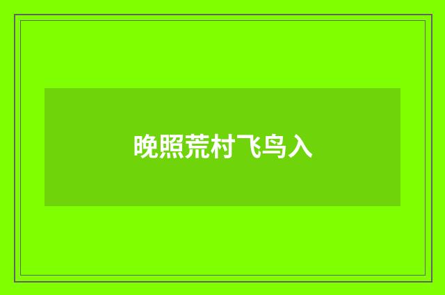 晚照荒村飞鸟入