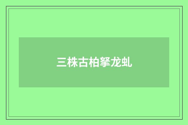 三株古柏拏龙虬