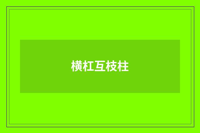 横杠互枝柱