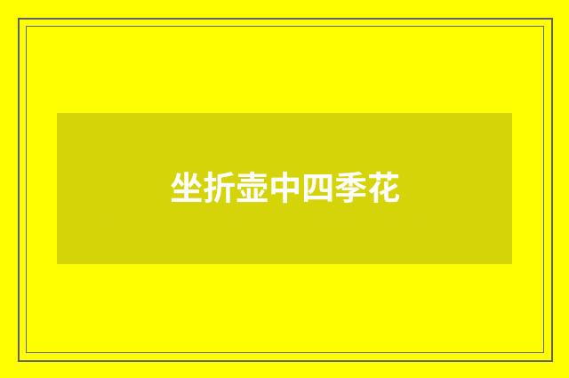 坐折壶中四季花