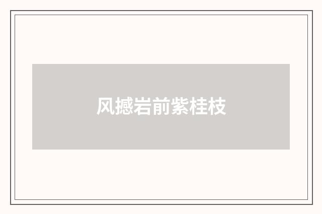 风撼岩前紫桂枝