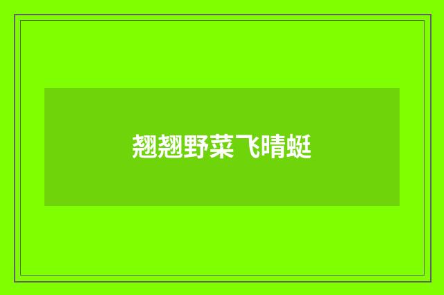翘翘野菜飞晴蜓