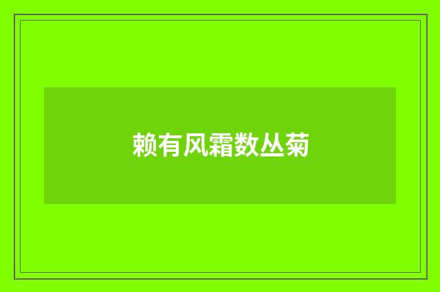 赖有风霜数丛菊