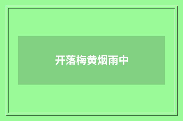 开落梅黄烟雨中