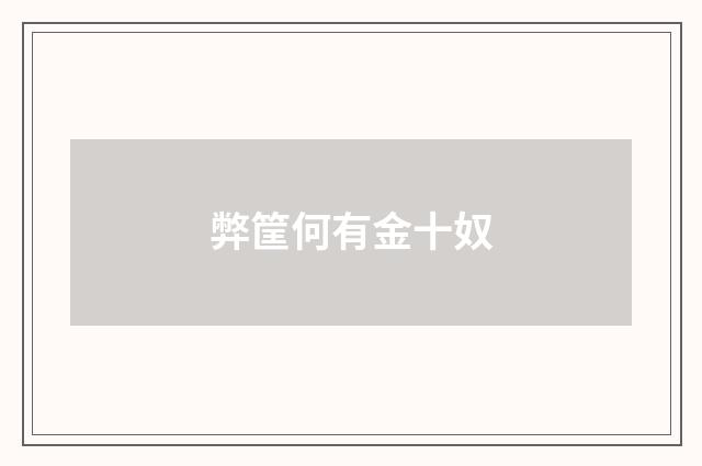 弊筐何有金十奴