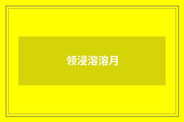 领浸溶溶月