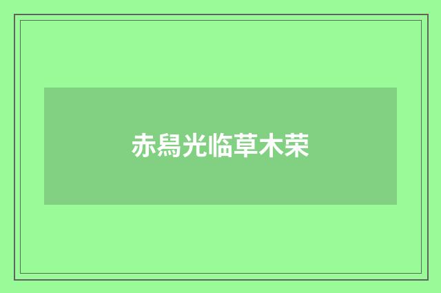 赤舄光临草木荣