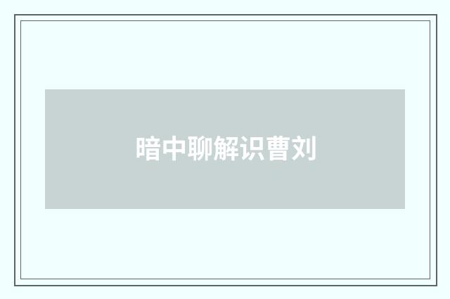 暗中聊解识曹刘