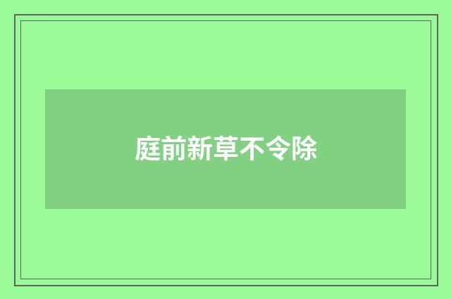 庭前新草不令除