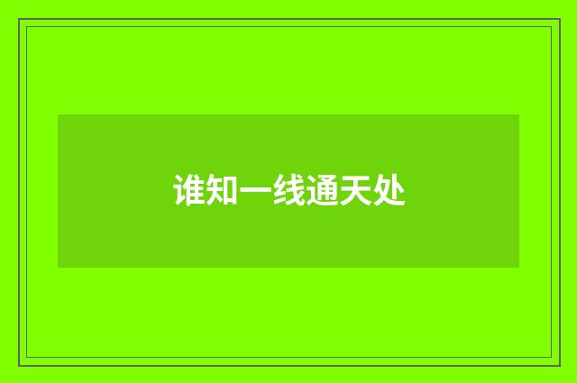 谁知一线通天处