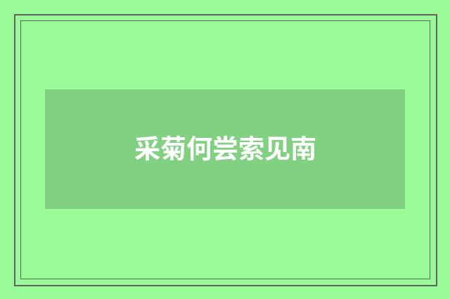 采菊何尝索见南