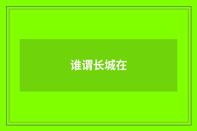 谁谓长城在