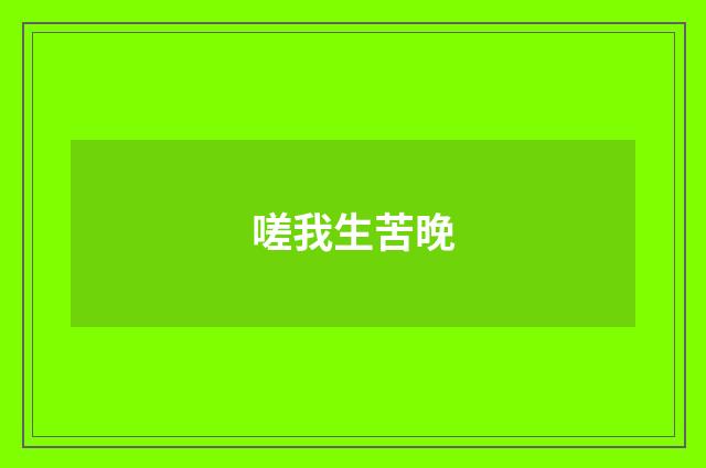 嗟我生苦晚