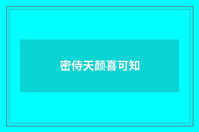 密侍天颜喜可知