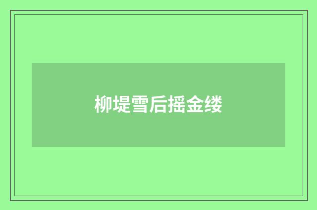 柳堤雪后摇金缕