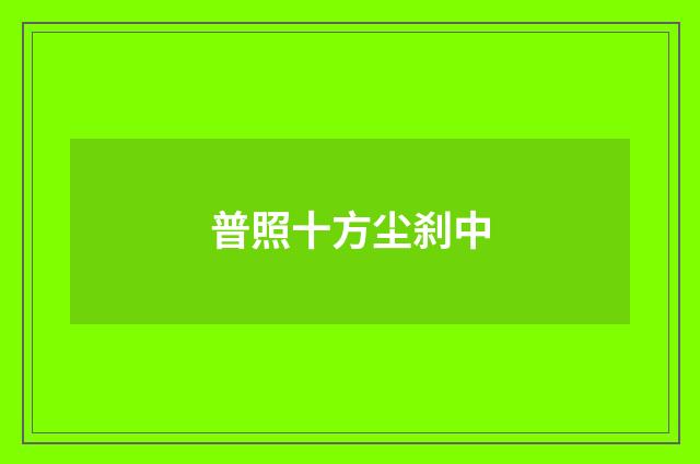 普照十方尘刹中