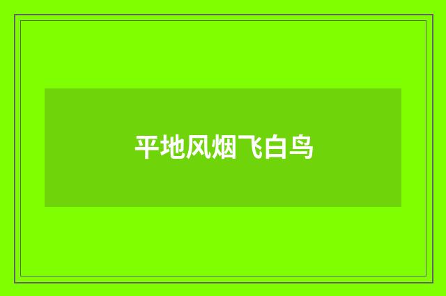 平地风烟飞白鸟