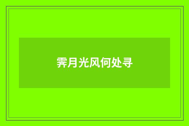霁月光风何处寻