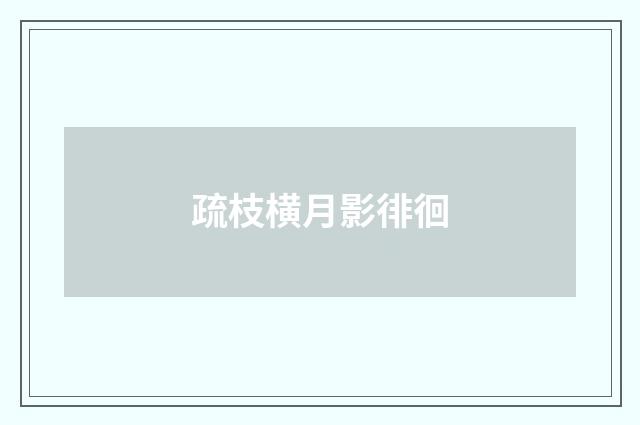 疏枝横月影徘徊