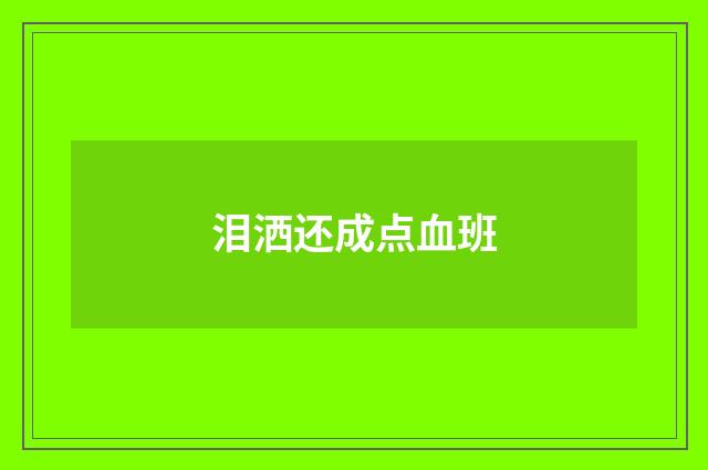 泪洒还成点血班