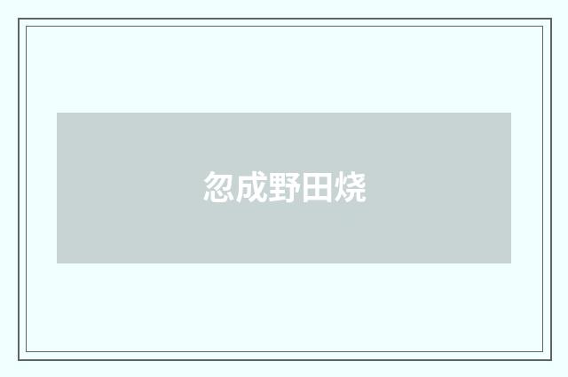 忽成野田烧