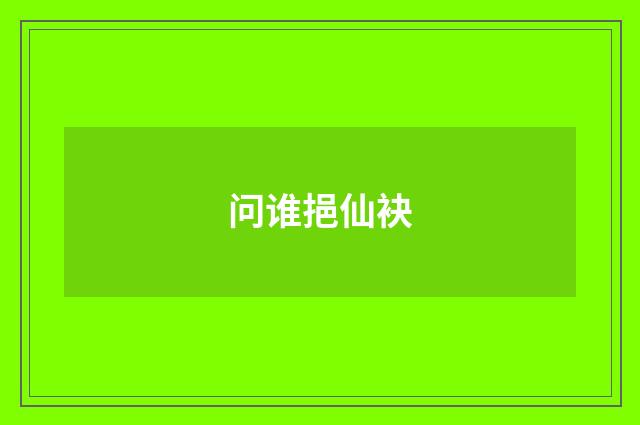 问谁挹仙袂