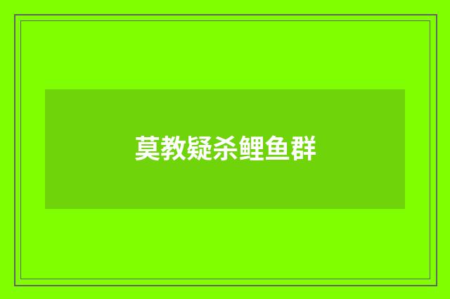 莫教疑杀鲤鱼群
