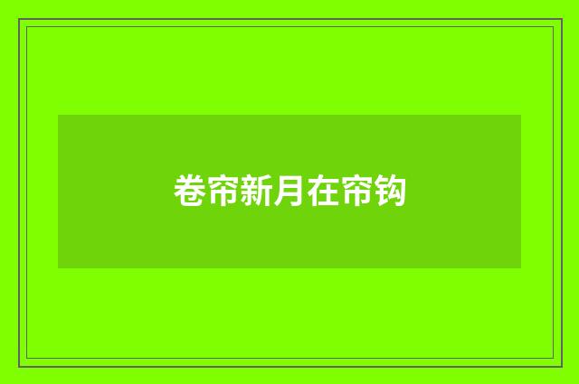 卷帘新月在帘钩