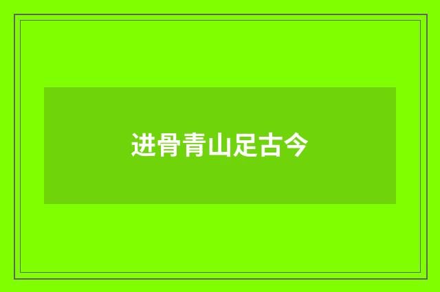 进骨青山足古今
