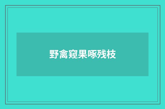 野禽窥果啄残枝