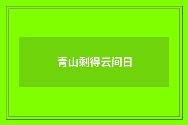 青山剩得云间日