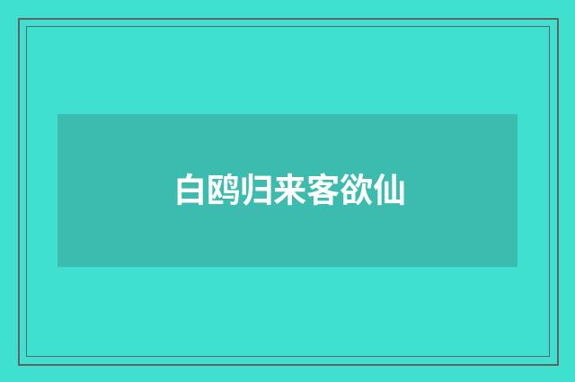 白鸥归来客欲仙