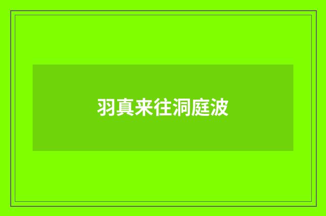 羽真来往洞庭波