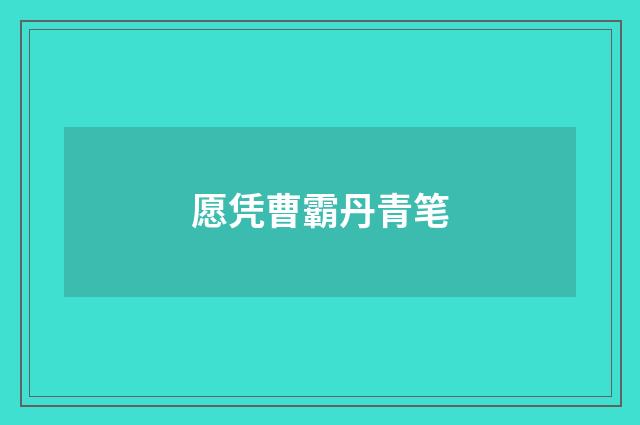 愿凭曹霸丹青笔