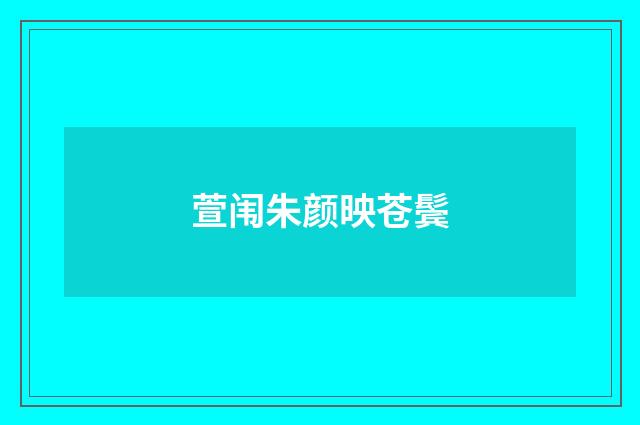 萱闱朱颜映苍鬓