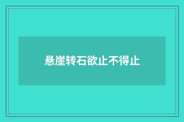 悬崖转石欲止不得止